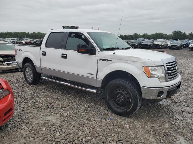 Photo 3 VIN: 1FTFW1ET2BFC38823 - FORD F150 SUPER 