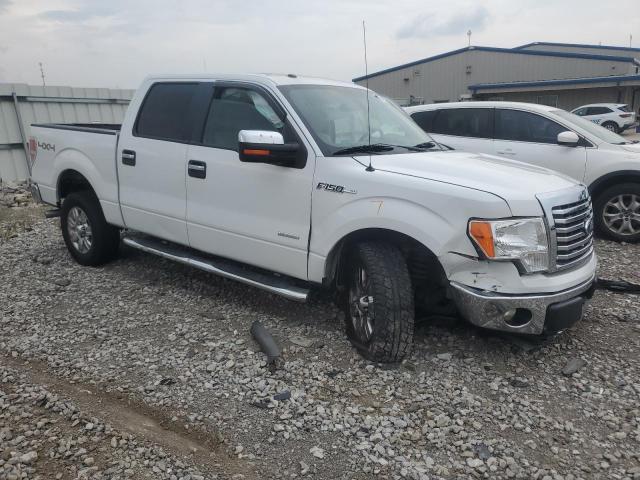 Photo 3 VIN: 1FTFW1ET2BFC44119 - FORD F150 SUPER 