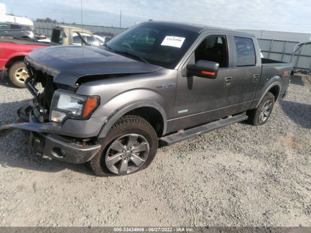 Photo 1 VIN: 1FTFW1ET2CKE02029 - FORD F-150 