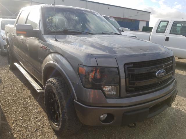 Photo 0 VIN: 1FTFW1ET2DFB78691 - FORD F150 SUPER 