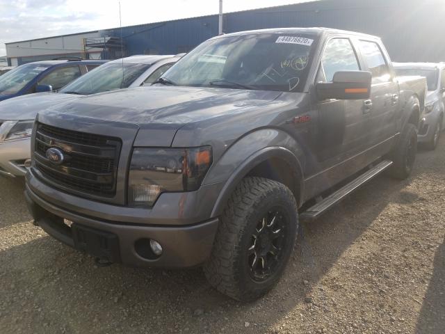 Photo 1 VIN: 1FTFW1ET2DFB78691 - FORD F150 SUPER 