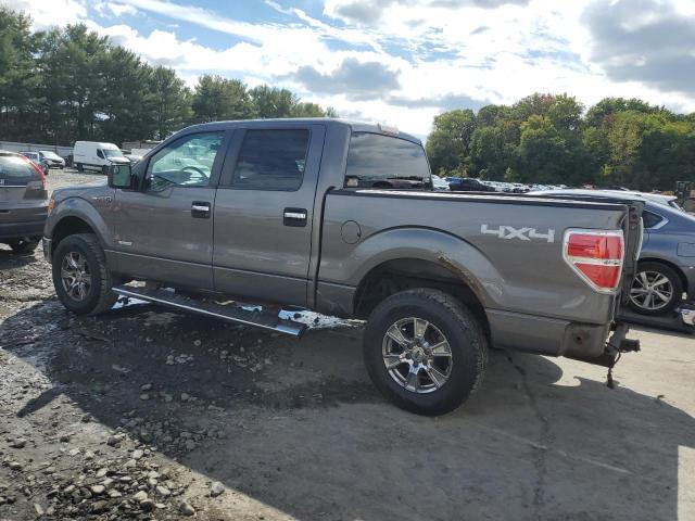 Photo 1 VIN: 1FTFW1ET2DFC14556 - FORD F150 SUPER 