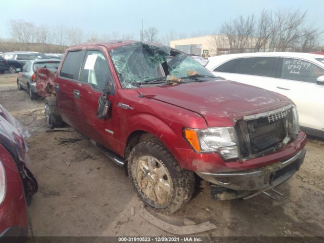 Photo 5 VIN: 1FTFW1ET2DFC33317 - FORD F-150 