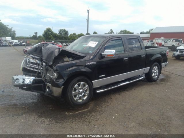 Photo 1 VIN: 1FTFW1ET2EFA49352 - FORD F-150 