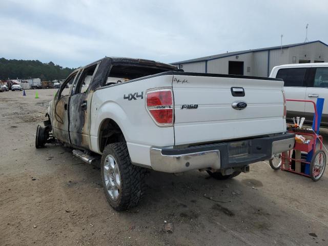 Photo 2 VIN: 1FTFW1ET2EFA69018 - FORD F150 SUPER 