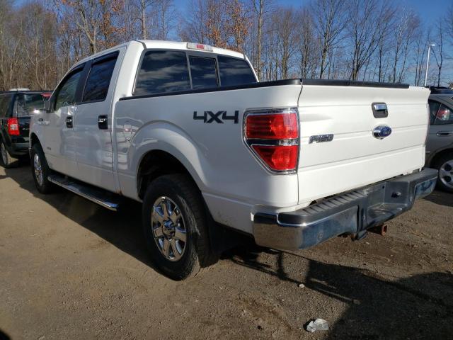 Photo 1 VIN: 1FTFW1ET2EFB66154 - FORD F150 SUPER 