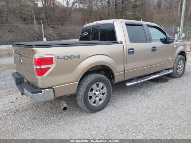 Photo 3 VIN: 1FTFW1ET3BFA65412 - FORD F-150 