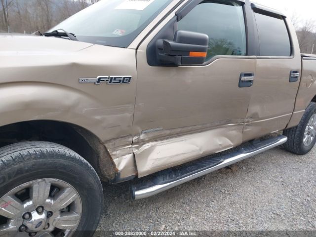 Photo 5 VIN: 1FTFW1ET3BFA65412 - FORD F-150 