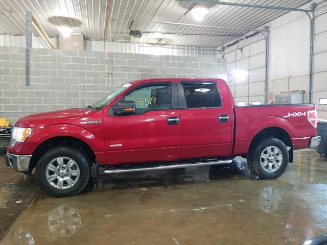 Photo 8 VIN: 1FTFW1ET3CFA10783 - FORD F150 SUPER 