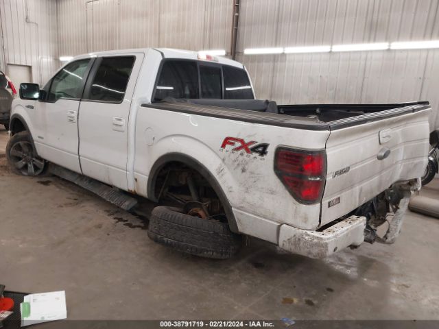 Photo 2 VIN: 1FTFW1ET3DFB45117 - FORD F-150 