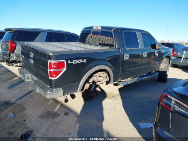 Photo 3 VIN: 1FTFW1ET3DFD24967 - FORD F-150 