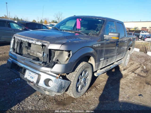 Photo 1 VIN: 1FTFW1ET3EKD02329 - FORD F-150 