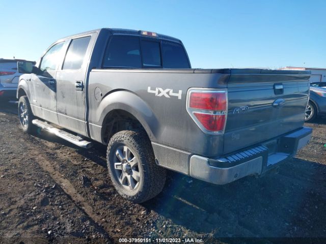 Photo 2 VIN: 1FTFW1ET3EKD02329 - FORD F-150 