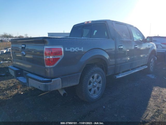 Photo 3 VIN: 1FTFW1ET3EKD02329 - FORD F-150 