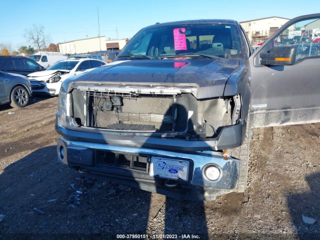 Photo 5 VIN: 1FTFW1ET3EKD02329 - FORD F-150 