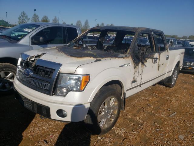 Photo 1 VIN: 1FTFW1ET4BFB02743 - FORD F150 SUPER 