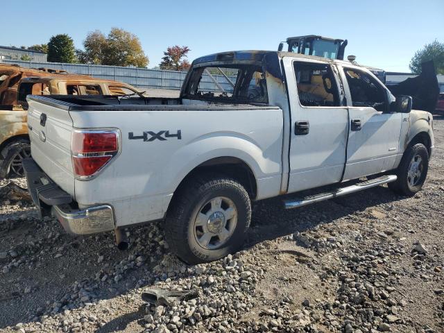 Photo 2 VIN: 1FTFW1ET4BFB59041 - FORD F150 SUPER 