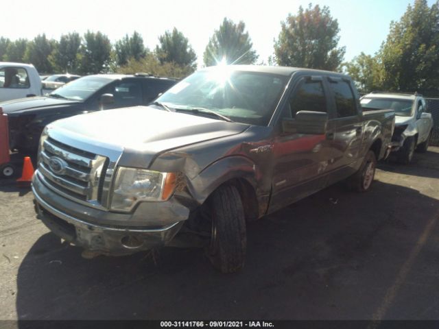 Photo 1 VIN: 1FTFW1ET4BFC15821 - FORD F-150 