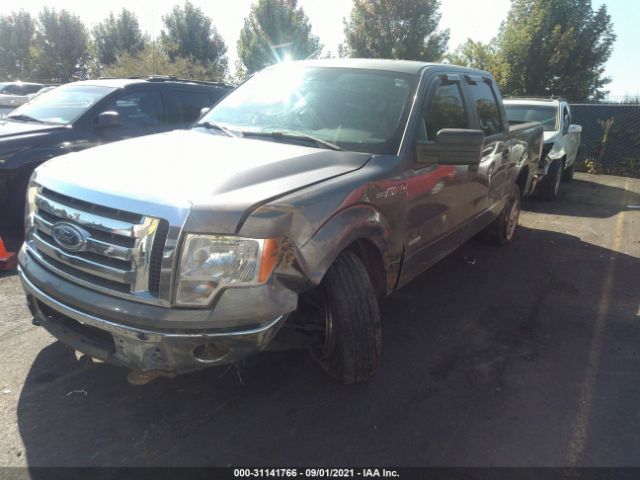 Photo 5 VIN: 1FTFW1ET4BFC15821 - FORD F-150 