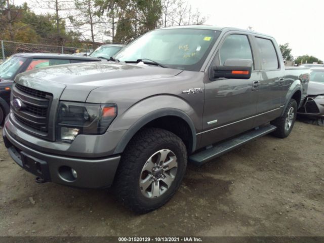 Photo 1 VIN: 1FTFW1ET4DFA41459 - FORD F-150 