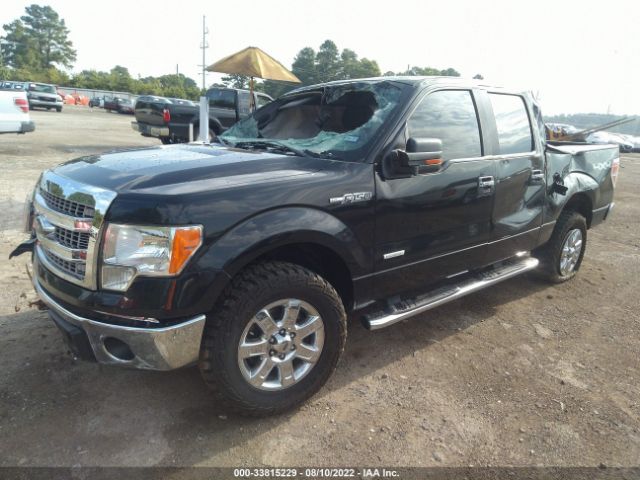 Photo 1 VIN: 1FTFW1ET4DFD44211 - FORD F-150 