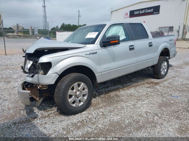 Photo 1 VIN: 1FTFW1ET4DFD93246 - FORD F150 