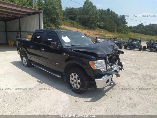 Photo 0 VIN: 1FTFW1ET4DKD04539 - FORD F-150 