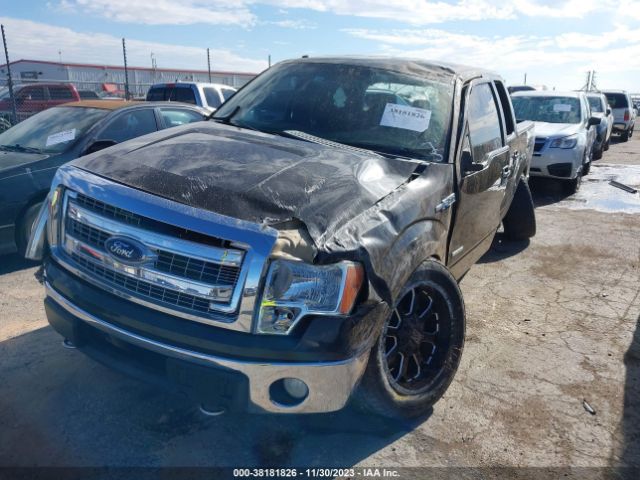 Photo 1 VIN: 1FTFW1ET4DKD89186 - FORD F-150 