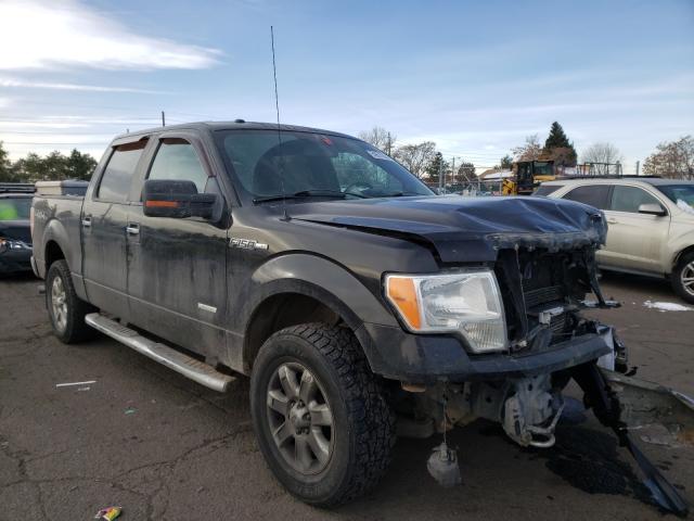 Photo 0 VIN: 1FTFW1ET4DKE03930 - FORD F150 SUPER 