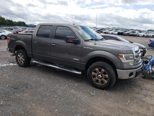 Photo 3 VIN: 1FTFW1ET4EKD01495 - FORD F150 SUPER 