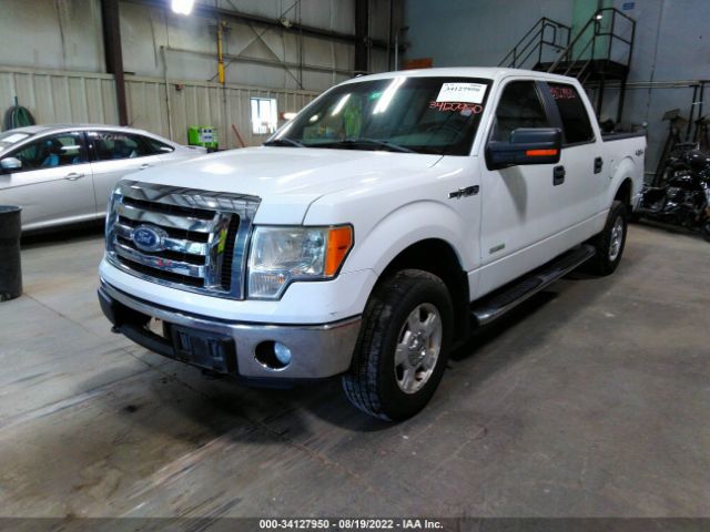 Photo 1 VIN: 1FTFW1ET5BFA54170 - FORD F-150 