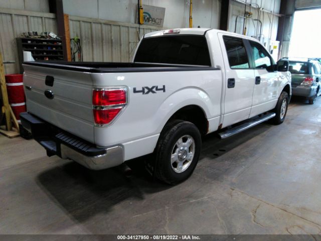 Photo 3 VIN: 1FTFW1ET5BFA54170 - FORD F-150 