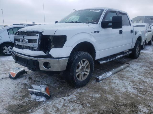 Photo 1 VIN: 1FTFW1ET5BFA88254 - FORD F150 SUPER 