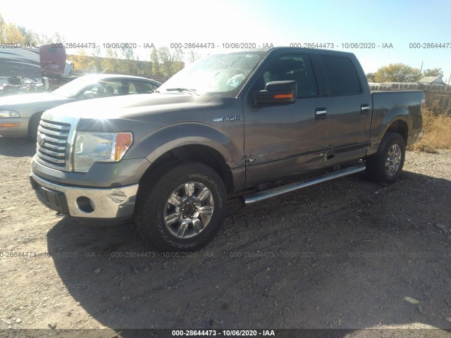 Photo 1 VIN: 1FTFW1ET5BFB03206 - FORD F-150 