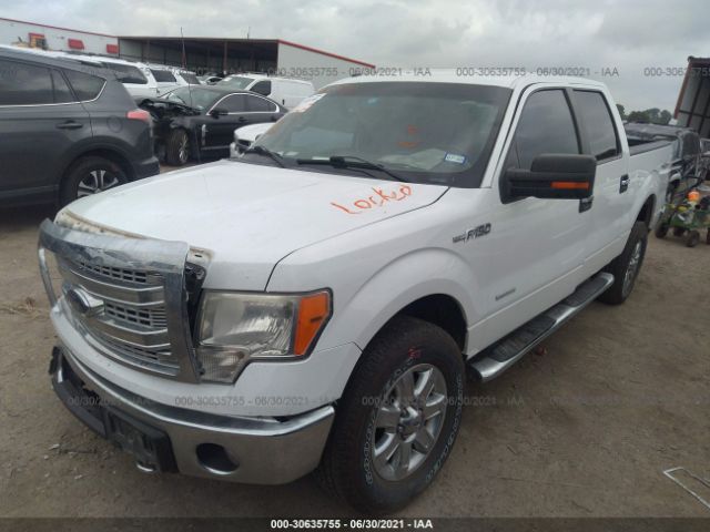 Photo 1 VIN: 1FTFW1ET5DKE01877 - FORD F-150 