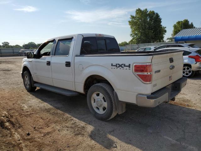 Photo 2 VIN: 1FTFW1ET5DKE84517 - FORD F150 SUPER 