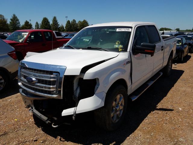 Photo 1 VIN: 1FTFW1ET5EFA81292 - FORD F150 SUPER 