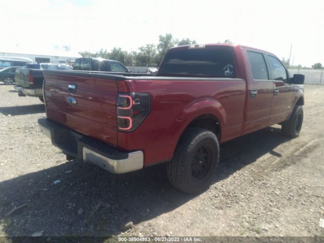 Photo 3 VIN: 1FTFW1ET5EFB64771 - FORD F-150 