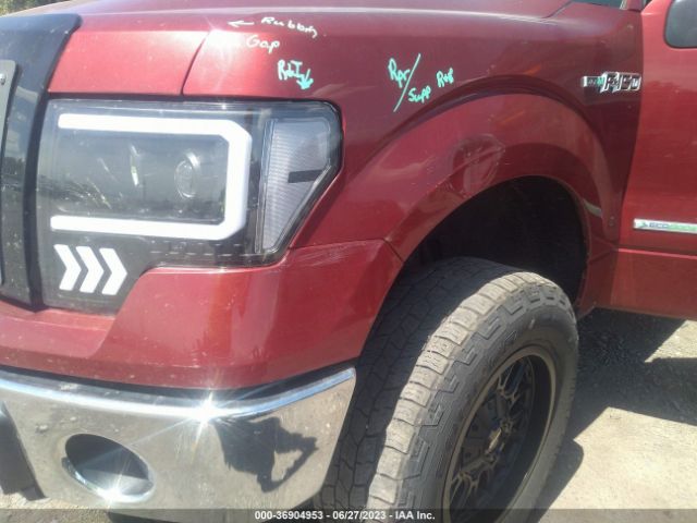 Photo 5 VIN: 1FTFW1ET5EFB64771 - FORD F-150 