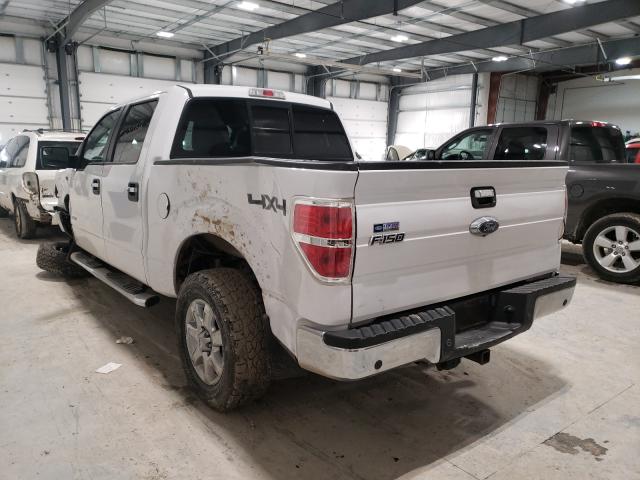 Photo 2 VIN: 1FTFW1ET5EKF30526 - FORD F150 SUPER 