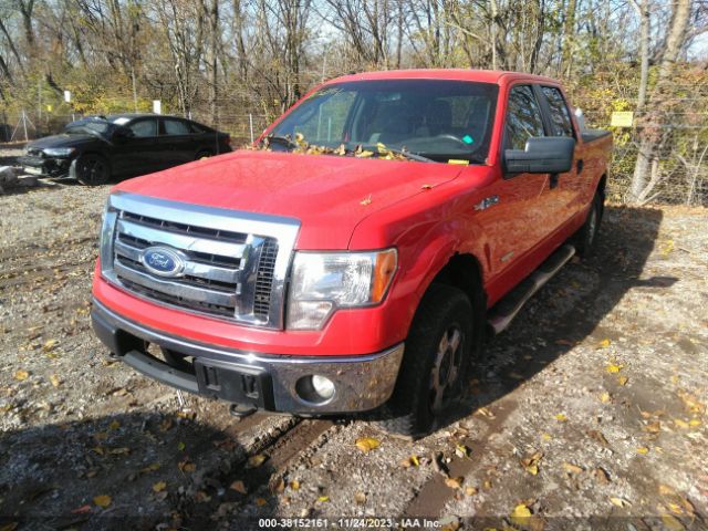 Photo 1 VIN: 1FTFW1ET6BFB12318 - FORD F-150 