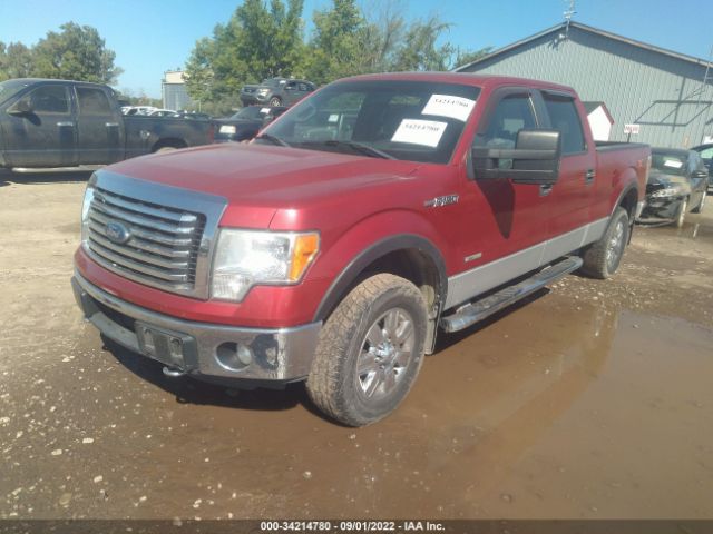 Photo 1 VIN: 1FTFW1ET6BFB18801 - FORD F-150 