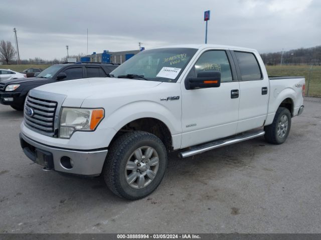 Photo 1 VIN: 1FTFW1ET6BFC10443 - FORD F-150 