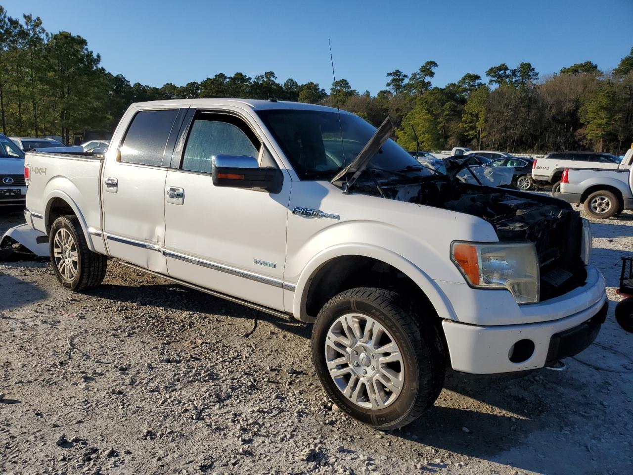 Photo 3 VIN: 1FTFW1ET6BFD01731 - FORD F-150 