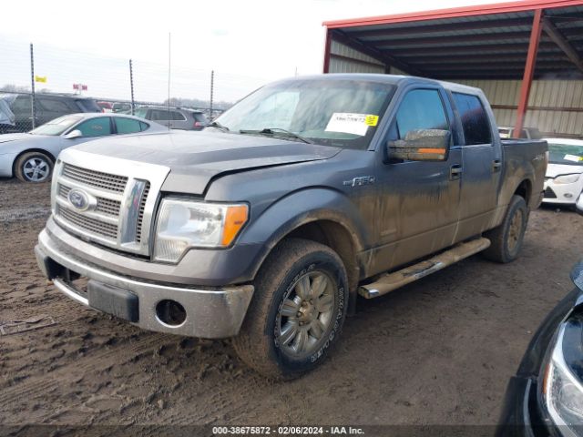 Photo 1 VIN: 1FTFW1ET6BFD11482 - FORD F-150 