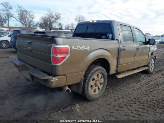 Photo 3 VIN: 1FTFW1ET6BFD11482 - FORD F-150 