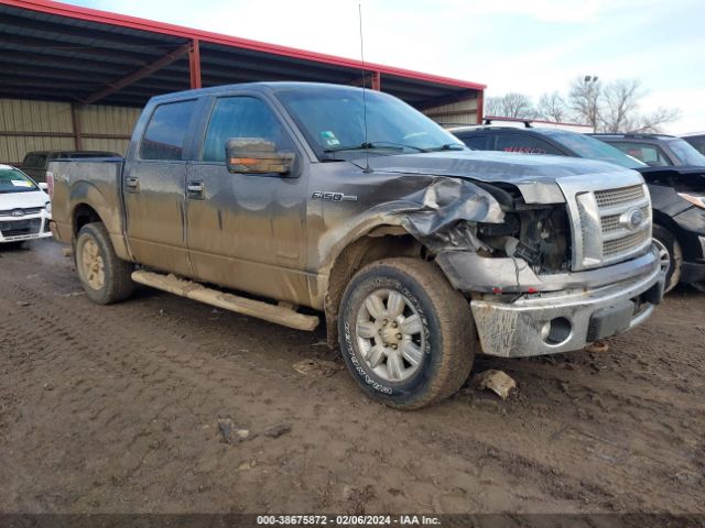 Photo 5 VIN: 1FTFW1ET6BFD11482 - FORD F-150 