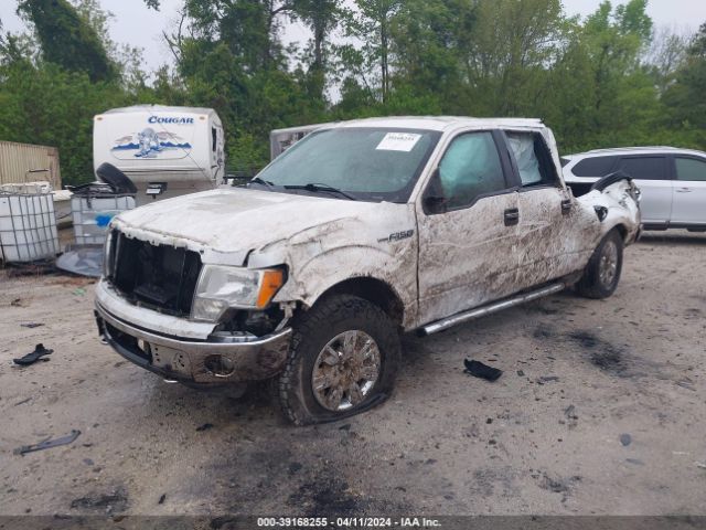 Photo 1 VIN: 1FTFW1ET6CFB02759 - FORD F150 