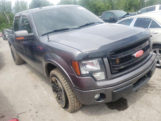 Photo 0 VIN: 1FTFW1ET6DFA95765 - FORD F150 SUPER 