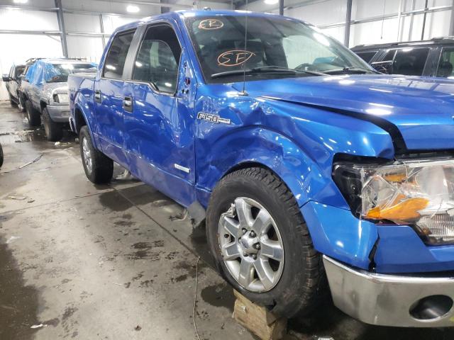 Photo 8 VIN: 1FTFW1ET6DFD41469 - FORD F150 SUPER 